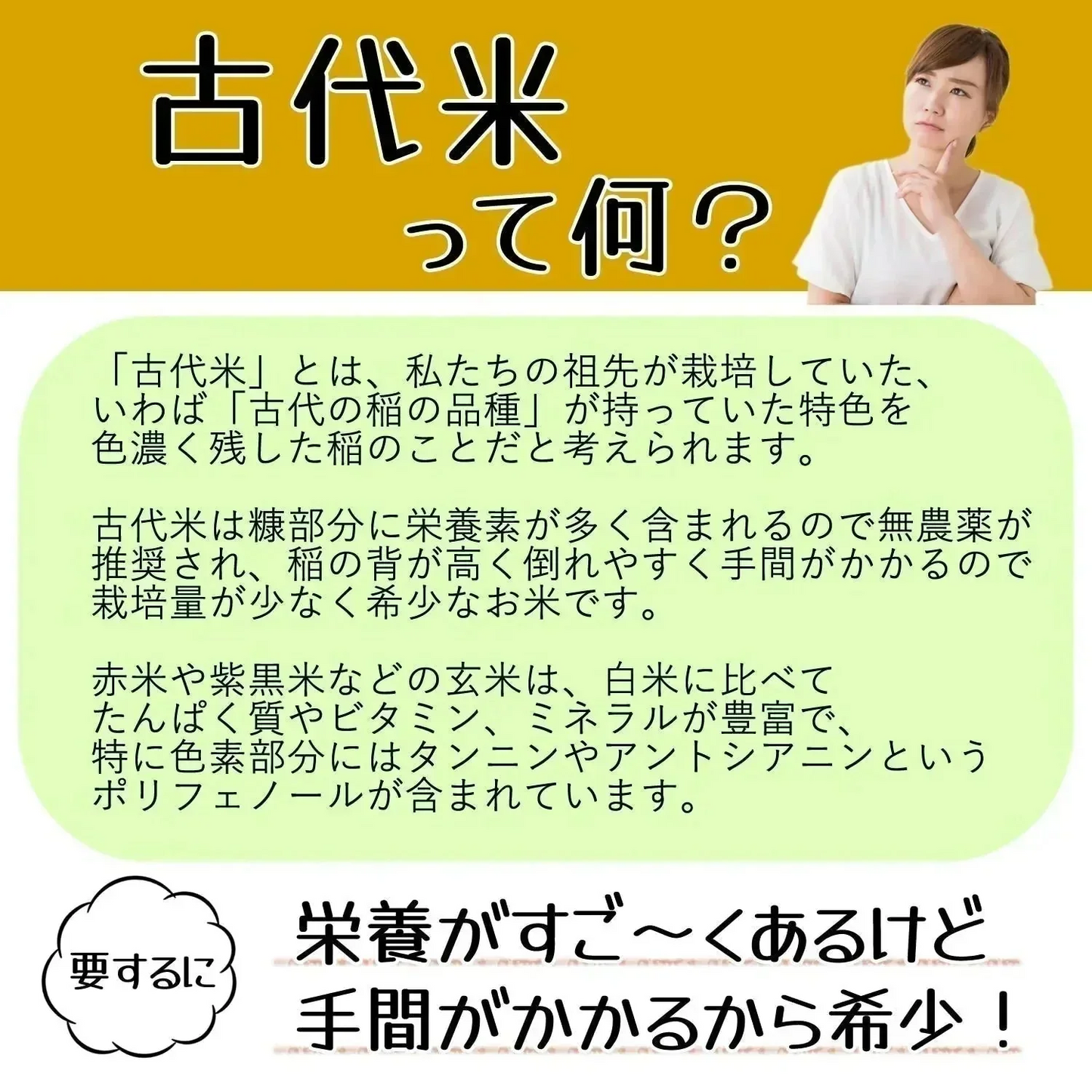 【300g】36種類の古代米ブレンド いろいろ米 送料無料 国産 大分県産 栽培期間中 農薬不使用 無農薬 化学肥料不使用 自然農法 掛け干し米 共生栽培 オーガニック お米 玄米 うるち米 黒米 赤米 緑米 ミックス 混ぜるだけ