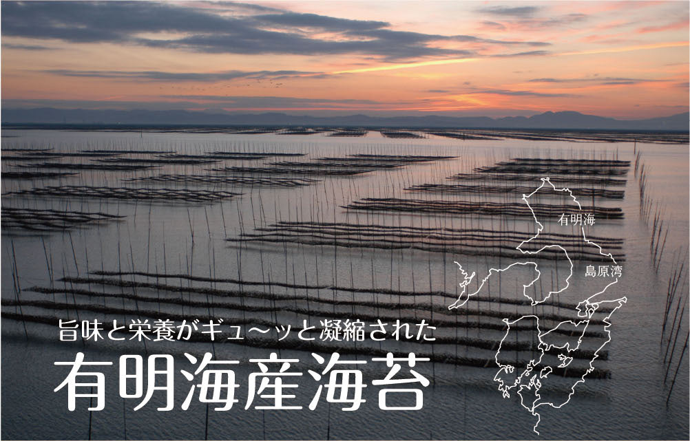 【2個セット】日本橋いなば園 有明海産 きざみ海苔 40g ネコポス メール便送料無料 刻み海苔 ギフト きざみ海苔 きざみのり 寿司 弁当 トッピング 食品 乾物 茶匠庵 葉酸 タウリン