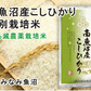 【送料込み】令和５年産 南魚沼産 コシヒカリ 20kg 新潟県 南魚沼 JAみなみ魚沼農協特Ａ地区 特別栽培米