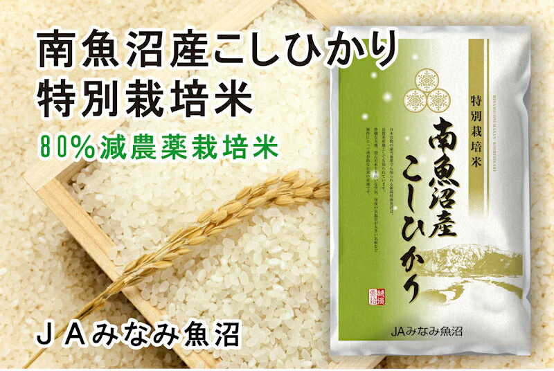 【送料込み】令和５年産 南魚沼産 コシヒカリ 20kg 新潟県 南魚沼 JAみなみ魚沼農協特Ａ地区 特別栽培米