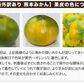 小玉 みかん 訳あり 送料無料 4kg 小粒 ミカン 柑橘 熊本 極早生 3s-sサイズ 家庭用 9月下旬-10月中旬頃より発送予定