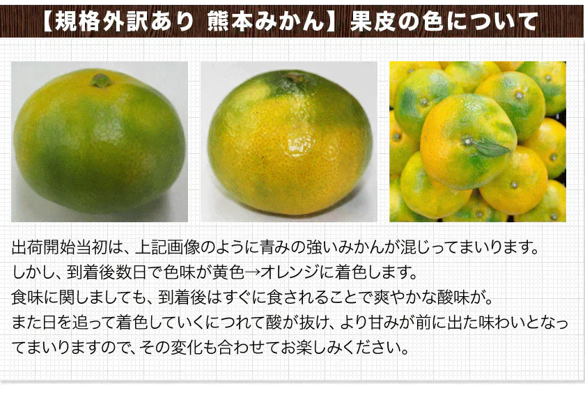 小玉 みかん 訳あり 送料無料 4kg 小粒 ミカン 柑橘 熊本 極早生 3s-sサイズ 家庭用 9月下旬-10月中旬頃より発送予定