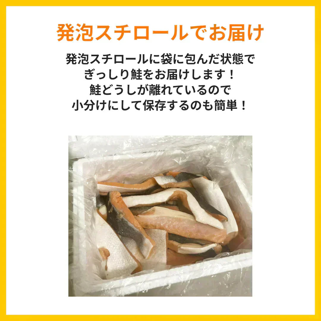 【水産仲卸直送】銀鮭の切り落とし　どどんと1.5kg！