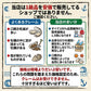 急速凍結 生食用冷凍牡蠣 殻付き 牡蠣 送料無料 ２ｋｇ（目安20個程度） 冷凍便 牡蠣 殻付き 殻付 カキ 牡蛎 かき 松島牡蠣屋 BBQ バーべキュー 二枚貝 貝類  kaki かきカキ