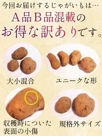 岩手県産 じゃがいも 10kg 無農薬栽培 きたあかり