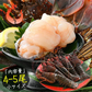 伊勢海老 千葉県産 外房イセエビ 小サイズ×4〜5尾 刺身 冷凍 伊勢エビ 伊勢えび えび エビ 海鮮 魚介 プリプリ 濃厚 グルメ 贈り物 ［送料無料］ 母の日 プレゼント ギフト  母の日思いの 健康 実用的 父の日 子供 孫