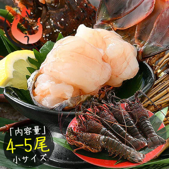 伊勢海老 千葉県産 外房イセエビ 小サイズ×4〜5尾 刺身 冷凍 伊勢エビ 伊勢えび えび エビ 海鮮 魚介 プリプリ 濃厚 グルメ 贈り物 ［送料無料］ 母の日 プレゼント ギフト  母の日思いの 健康 実用的 父の日 子供 孫