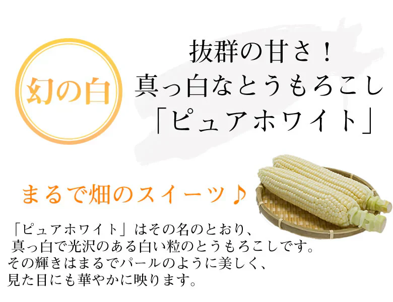 とうもろこし ピュアホワイト 送料無料 約3kg 8～12本入り 九州産 白いとうもろこし 極甘フルーツコーン スイートコーン 雪の妖精