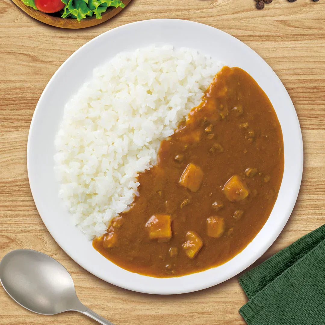 デリシャスカレー 中辛 170ｇ ２袋 野菜と果実をじっくり煮込み25種類のスパイスで仕上げた風味豊かなカレー　ポスト投函便