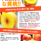訳あり 黄桃 5kg前後 産地箱 モモ もも ピーチ サイズ・玉数おまかせ ご家庭用 送料無料 業務用 箱詰め 黄色い桃