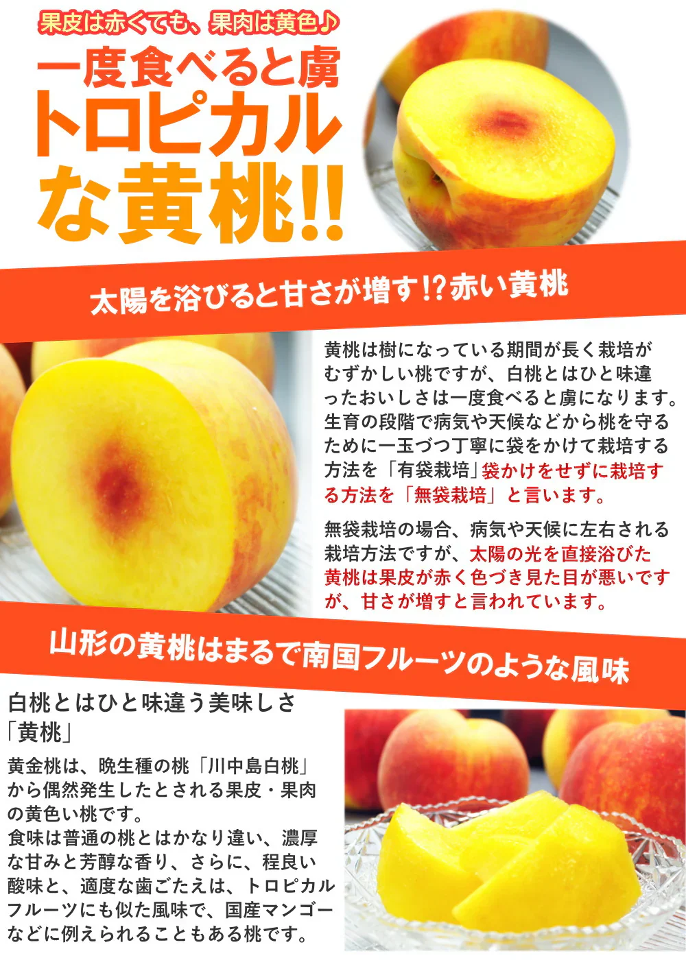 訳あり 黄桃 5kg前後 産地箱 モモ もも ピーチ サイズ・玉数おまかせ ご家庭用 送料無料 業務用 箱詰め 黄色い桃