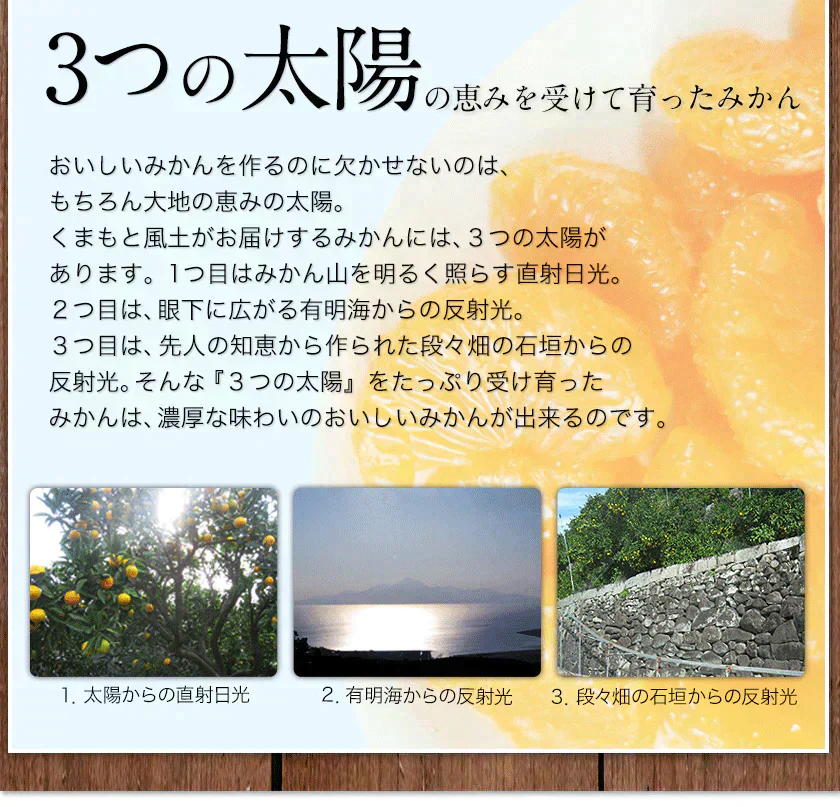 小玉 みかん 訳あり 送料無料 4kg 小粒 ミカン 柑橘 熊本 極早生 3s-sサイズ 家庭用 9月下旬-10月中旬頃より発送予定