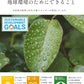 全国送料無料＼2025新登場・大人気商品！／【敏感肌におすすめ・100％コットン】60枚×6 360枚 フェイシャルタオル 使い捨てタオル フェイスタオル 洗顔タオル 刺激無し 厚手 コットン100％ コンパクト 洗顔 化粧 摩擦レス メイクオフ 乾湿両用 おしり拭き 毛羽立ちなし 20×20cm クレンジングタオル 旅行【MondeSelection金賞受賞】