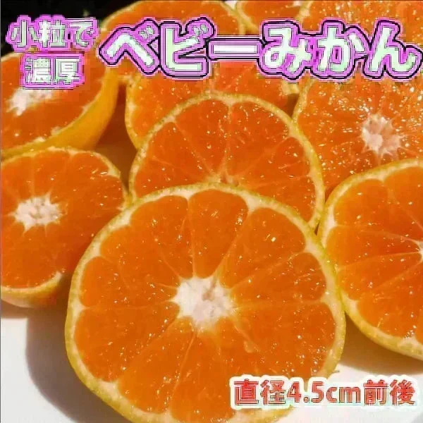 みかん 激レア小粒 直径4.5cm前後 訳あり 和歌山有田みかん 2kg