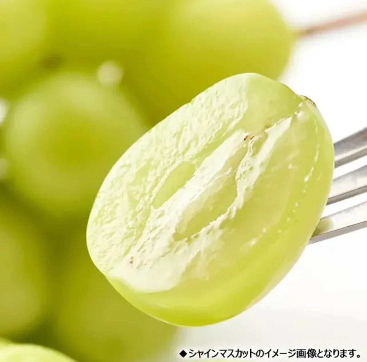 長野県産 シャインマスカット  約1.5kg(1000g+保証分500g) 1-3房 ぶどう 葡萄 巨峰
