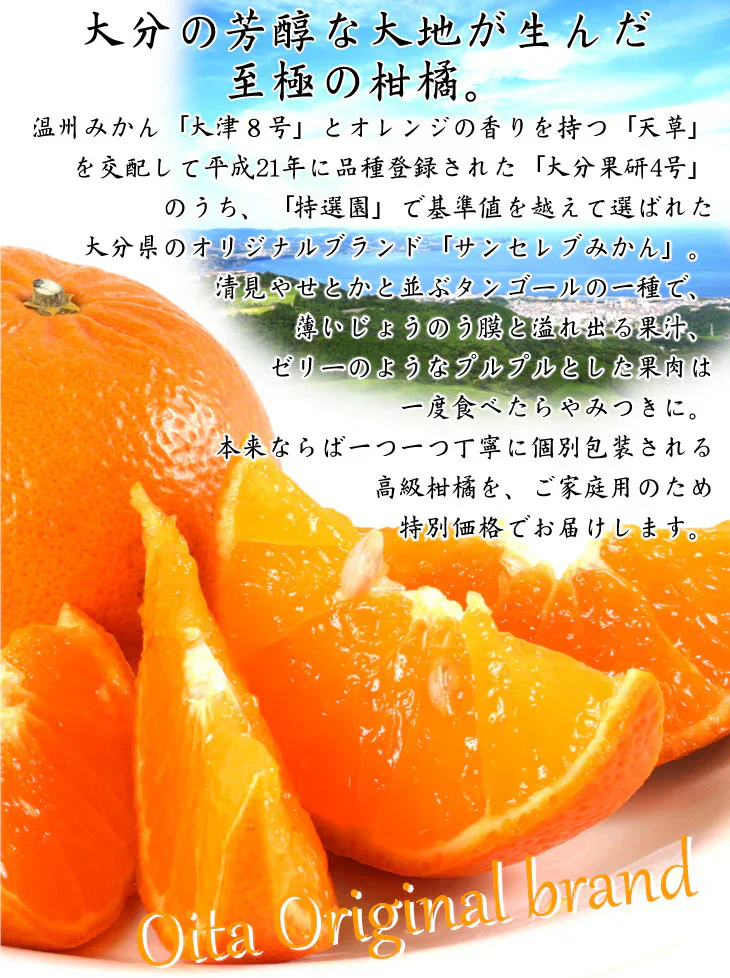 みかん　大分産　サンセレブ　1.5kg　ご家庭用（発送予定：2025年1月下旬より）