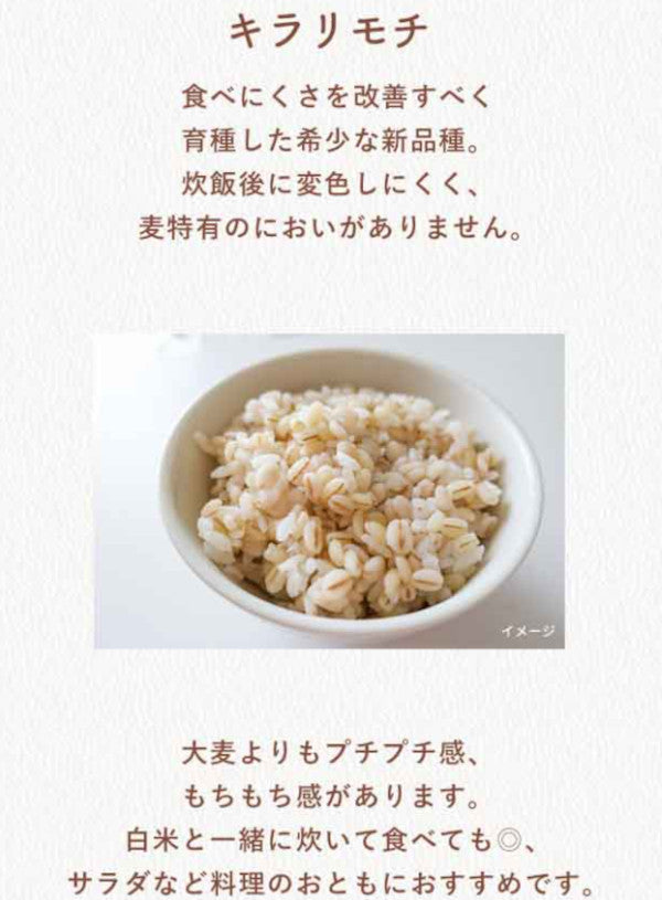 岡山県産キラリモチ/もち麦　1kgパック　令和7年産