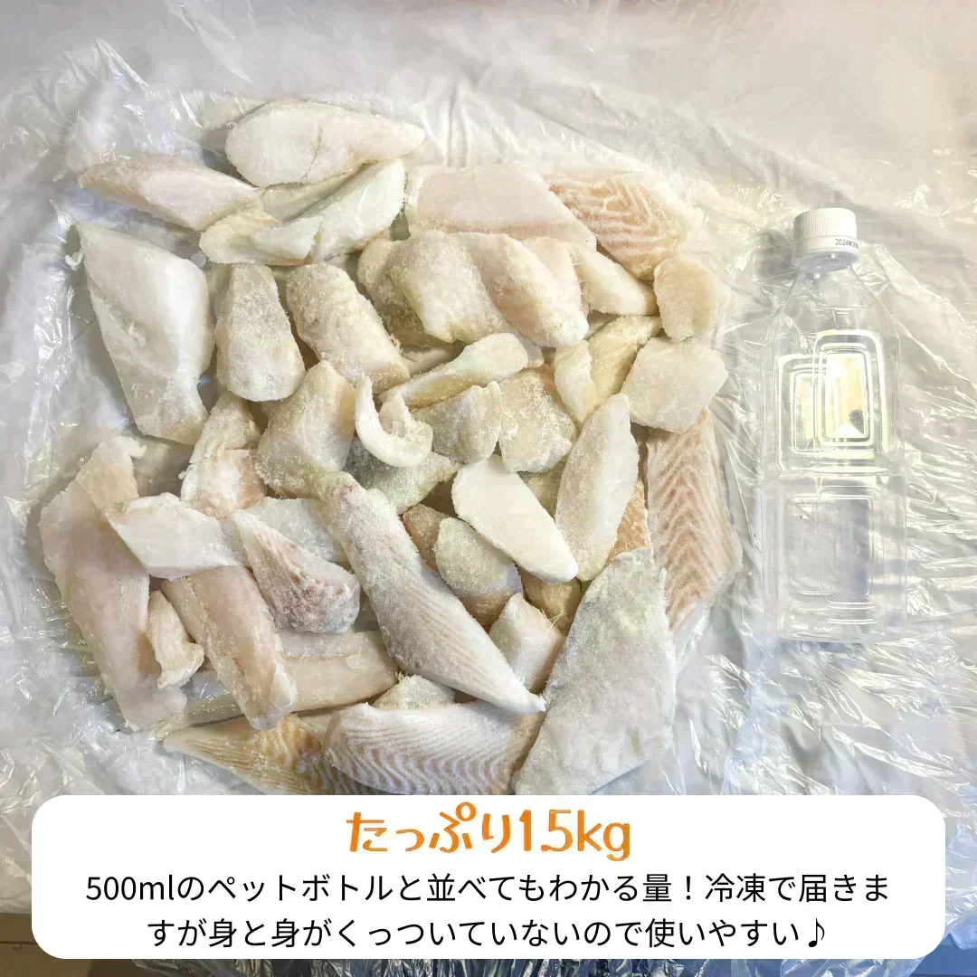 【水産仲卸直送】カラスガレイ切り落とし　大好評シリーズ！どどんと1.5kg！