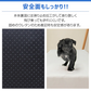 【ホワイト】ドッグステップ 犬 階段 ステップ 2段 ワイドタイプ 犬用ステップ スロープ 犬 犬用 ペット用 ペットステップ ペットスロープ クッション 踏み台 おしゃれ 小型犬 室内犬 段差解消 ヘルニア 脱臼 ケガ防止 高齢犬 介護 ペット用品
