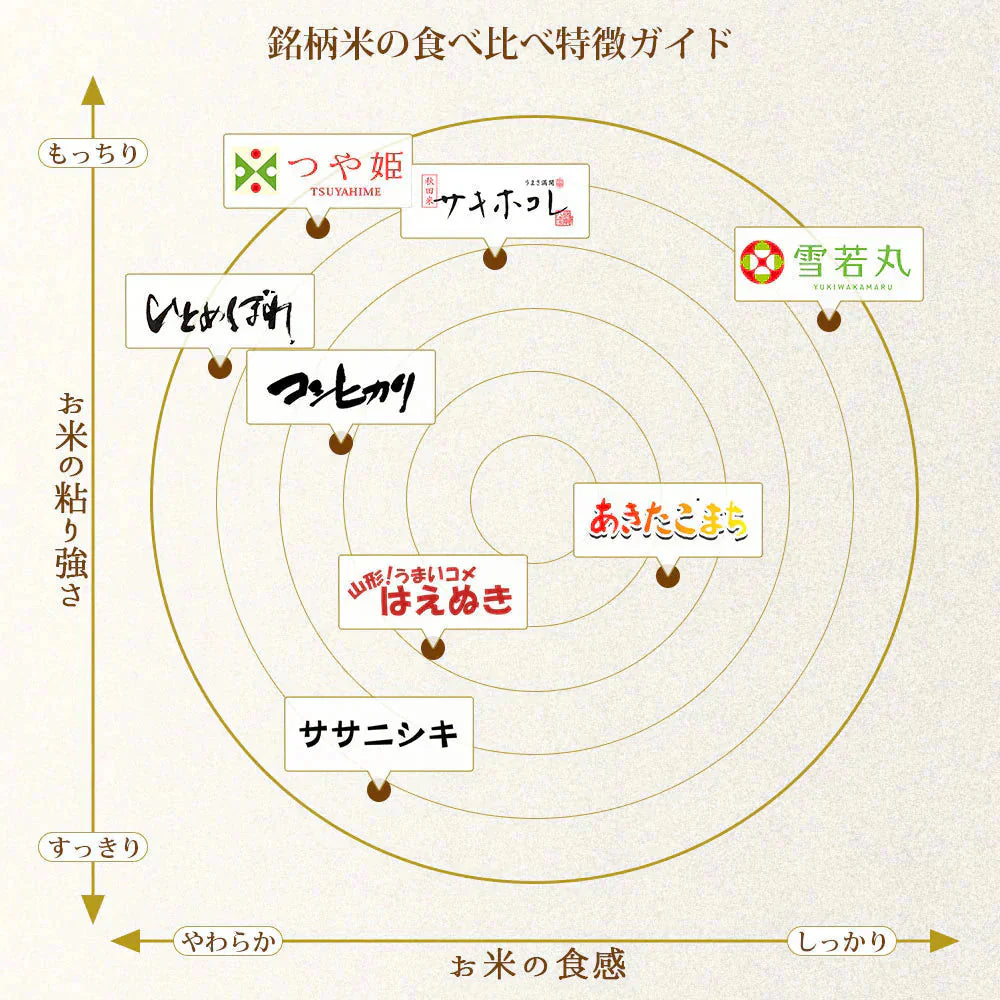 雪若丸 無洗米 10kg (5kg×2袋) 山形県産 令和7年産 送料無料 米 10キロ こめ コメ お米 精米 新米 お米10kg 雪若丸10kg 雪若丸10キロ