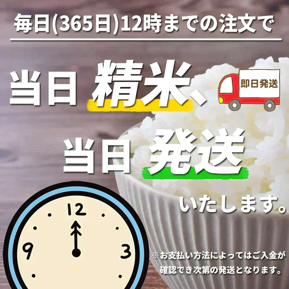 こしひかり 精米5kg 令和7年産 【古代米プレゼント付き】