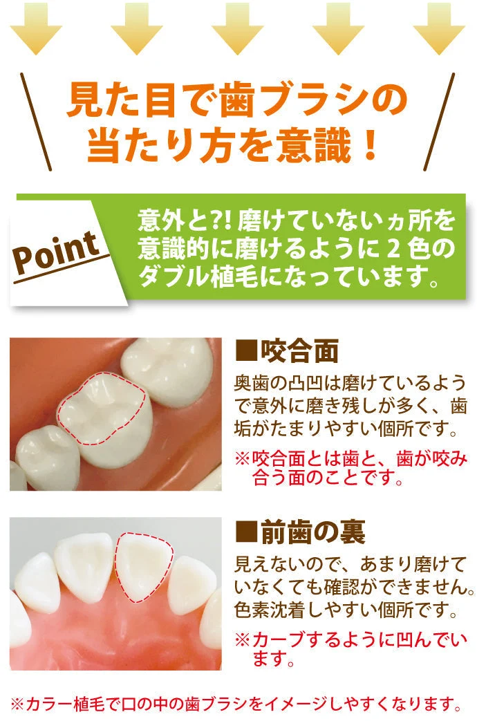 歯ブラシ まとめ買い Ci PRO PLUS（プロプラス） Sやわらかめ 50本入り