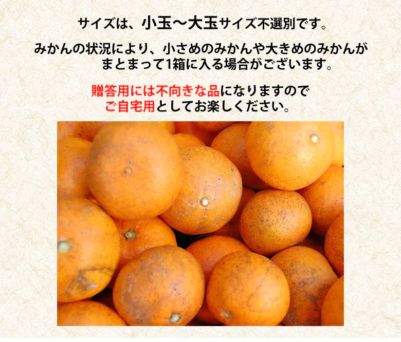みかん 温州みかん 送料無料 訳あり 2kg 2セット購入で1kgおまけ 3セット購入で3kgおまけ 熊本県産 熊本みかん 蜜柑 ミカン