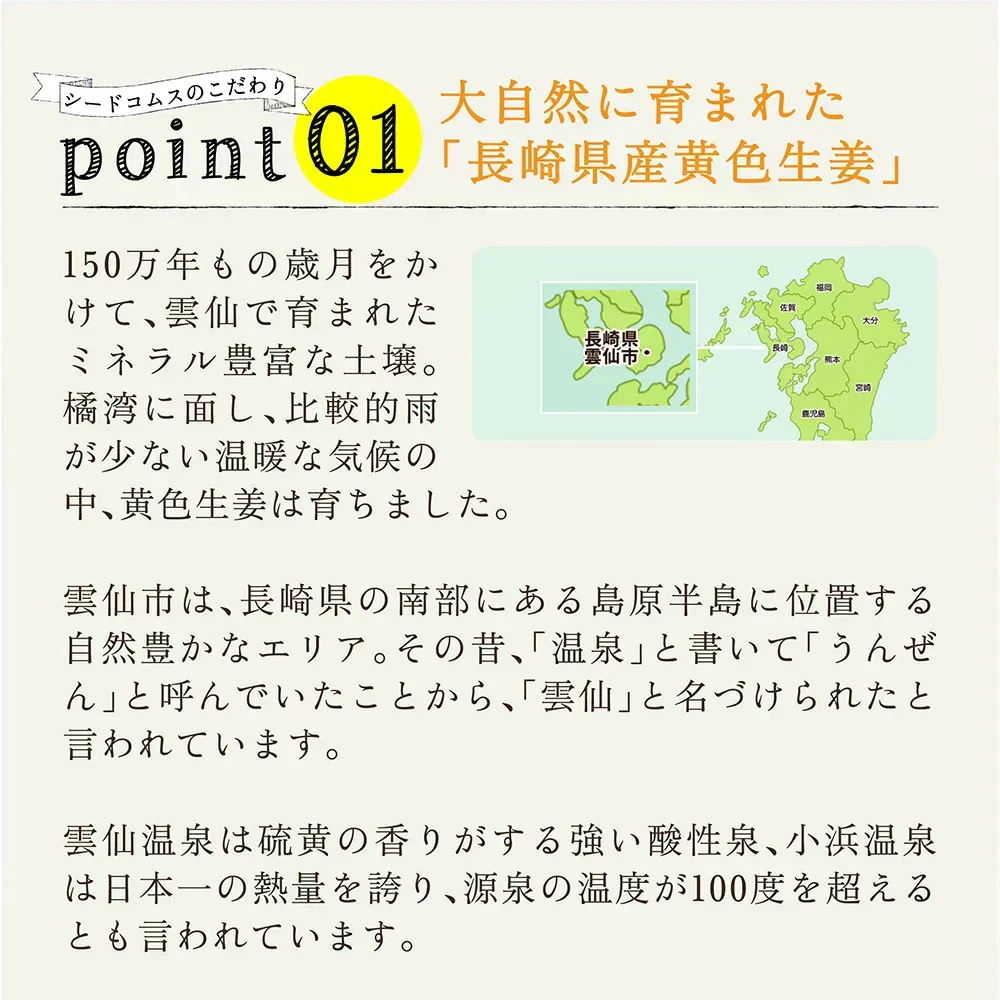 しょうが美人 ペースト ≪1箱31包入り≫ 長崎県産しょうが使用 化学調味料　着色料保存料香料全て一切不使用　かぼす 黒糖 生姜 冷え ジンジャー シロップ エール ドリンク ダイエット ゼリー