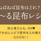 [大袋]  納豆こんぶ 大袋 500g 　お徳用 業務用