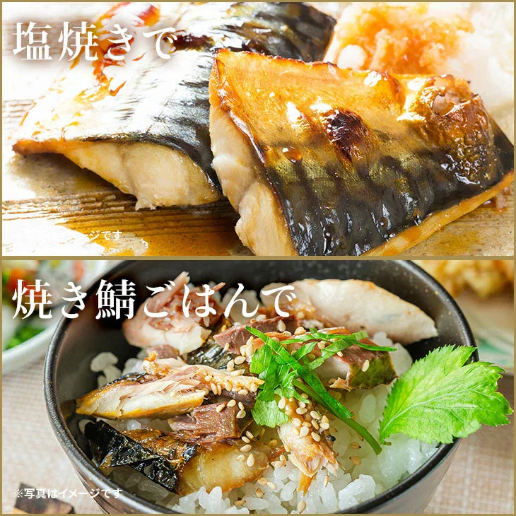 【無塩・無添加】トロサバ“骨取り”切身 大ぶり70g x 15枚=合計1.05kg 小分け350g (70g x 5枚) x 3パック