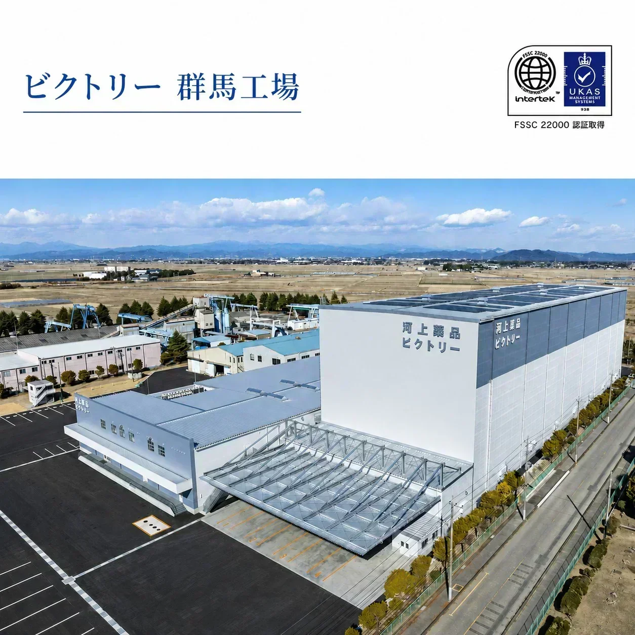 【6営業日以内出荷】【1ケース】  ミネラルウォーター 水 ピュアの森 天然水 500ml 24本 硝酸態窒素 亜硝酸態窒素 検査済み PFOS PFOA 検出限界以下【プチプラ特集】