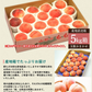 【8月中旬頃-9月中旬頃ご注文受付順次】白桃 約5kg 13-20玉前後 もも ピーチ モモ 桃 くだもの フルーツ ご家庭用 山形産
