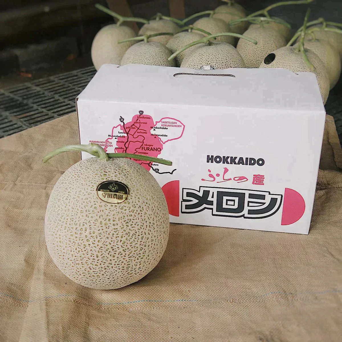 ＜数量限定＞【1玉入り】訳あり 富良野産赤肉メロン ｜ 中玉（1玉1.6kg以上） 送料無料【ゲリラセール】