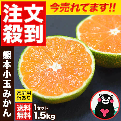 小玉 みかん 訳あり 送料無料 1.5kg 小粒 ミカン 柑橘 熊本 極早生 3s-sサイズ 家庭用 7-14営業日以内に出荷予定(土日祝除く)【ご新規さん限定商品】