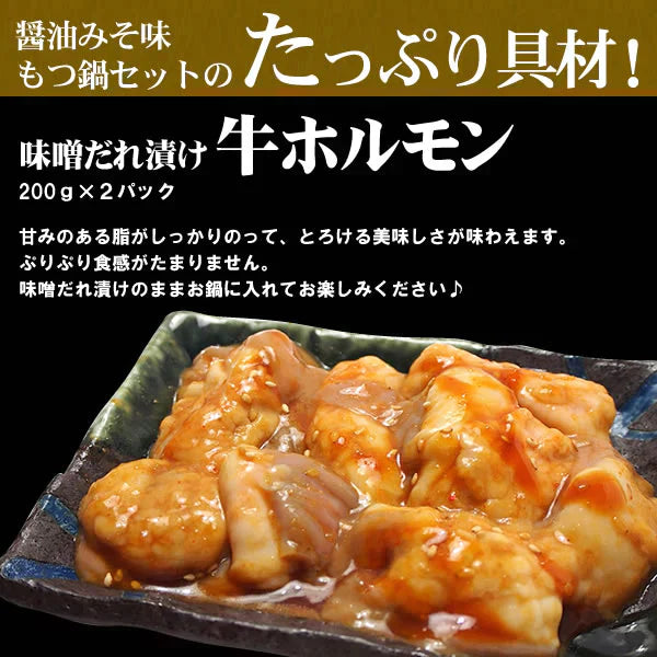 もつ鍋 セット 2~3人前 醤油みそ味 もつ鍋セット 肉具材3種と うどん付(北海道・沖縄配送時は別途送料追加) 肉 鍋 牛ホルモン テッチャン シマチョウ 鶏肉 大阪 もつ鍋 食品