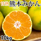 【10月上旬～中旬頃より順次出荷】みかん 10kg 熊本みかん 送料無料 秀品 2S〜L 熊本県産 極早生みかん お取り寄せ 蜜柑 ミカン