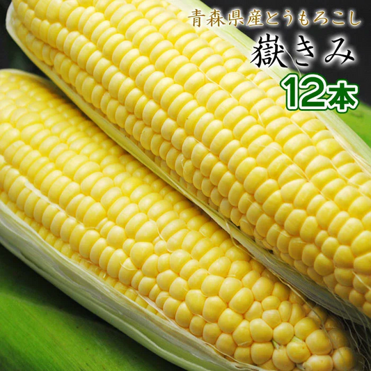 【8月下旬-9月下旬頃発送】嶽きみ 青森県が誇るプレミアム とうもろこし 12本セット まるで果物のような甘さ トウモロコシ コーン