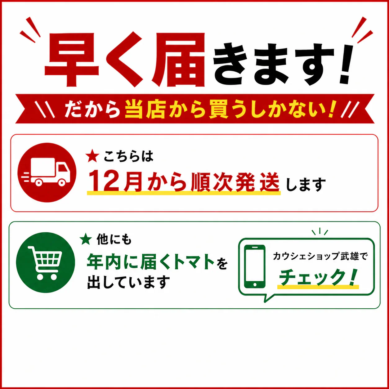 《新感覚トマト》【12月〜1月末日までに発送】【予約】約400g ＼サクサク食感で新感覚！／なつめっ娘クリスピートマト(230~250g+保証分150g)日本一の産地から農家直送 熊本県産 ミニトマト 野菜 青果 フルーツ【カウシェファーム収穫対象商品】