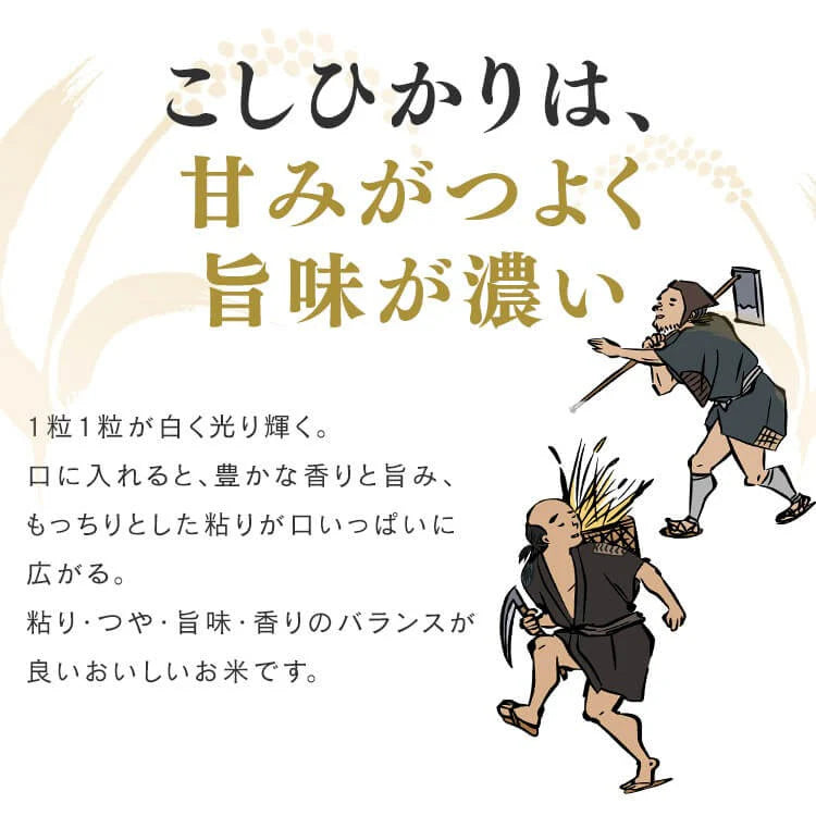 【カートアップNG】【ご新規さんとシェア買い】アイリスオーヤマ 低温製法米 新潟県産こしひかり チャック付き 2kg