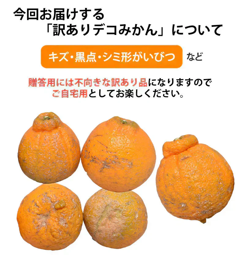 デコポン 同品種 訳あり デコみかん 10kg 箱込 (内容量9kg+補償分500g) 送料無料 熊本県産 フルーツ お取り寄せ みかん ミカン 蜜柑 不知火