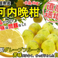 河内晩柑 Ｂ級品 (4kg) ※中玉・大玉MIX 訳あり  晩柑 ご家庭用 箱買い B品 サイズミックス 柑橘 みかん フルーツ 果物 産地直送 愛媛県産