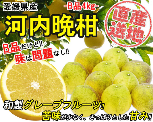 河内晩柑 Ｂ級品 (4kg) ※中玉・大玉MIX 訳あり  晩柑 ご家庭用 箱買い B品 サイズミックス 柑橘 みかん フルーツ 果物 産地直送 愛媛県産