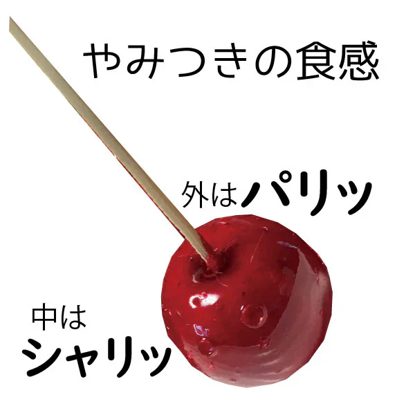 アイスりんご飴 3種セット 6本入り （プレーン・チョコレインボー・シナモン 各2本）送料無料中身はシャリシャリと新食感♪冷凍便【9305】