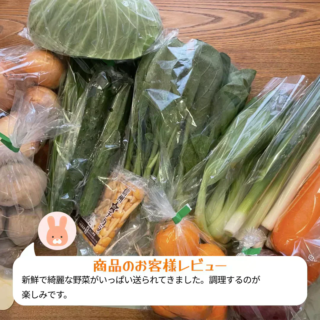 【2022年度 国内No.1獲得！】 クール便 市場直送！ 野菜セット 詰め合わせ 80サイズ箱 【 福袋 】玉ねぎ にんじん じゃがいも みかん 桃 シャインマスカット 食品 料理 フルーツ 果物 ギフト 贈答 お中元 お祝い 正月 謹賀新年