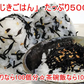 【500g】ひじきごはん ソフトふりかけ／おにぎりなら100個分！茶碗飯なら100杯分！ | 栄養満点！歯ごたえを残したひじきに、しその香りと上品な甘さ♪たっぷり500g