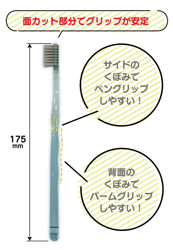 歯ブラシ Ci PRO Ag 超先細+フラット毛 / Mふつう 5本入【メール便送料無料】