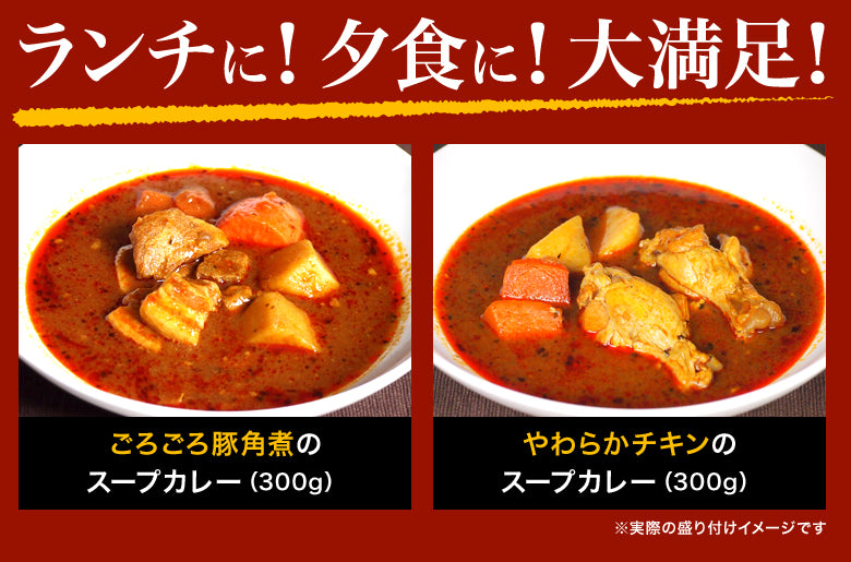 【タイムセール】札幌極みスープカレー（2食セット）