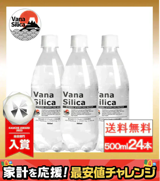 【1ケース】【送料無料】 富士山のバナジウム＆シリカ 強炭酸水 VanaSilica（バナシリカ） 500ml 24本 プレーン