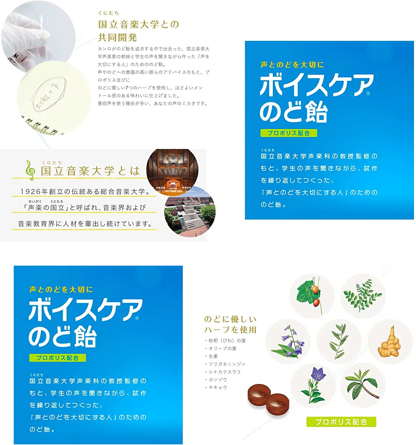 カンロ ボイスケアのど飴 563g×6袋セット  大容量パック