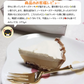 【訳あり】ふらの雪どけチーズケーキ [北海道メロン] 送料無料